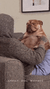 Spoilt Dog Massage Spoiled Dog Massage GIF - Spoilt Dog Massage Spoilt Dog GIFs