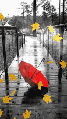 Red Umbrella GIF