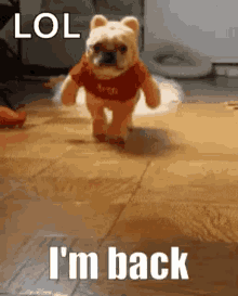 I Am Back Back GIF - I Am Back Back Dog GIFs