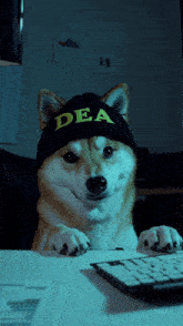 a dog wearing a black hat that says dea on it