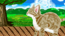 a cat is standing on a wooden deck in front of a field