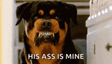 a rottweiler dog with its mouth open and the words his ass is mine behind it .