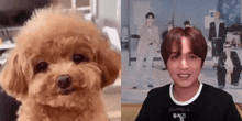 a man and a dog are sitting next to each other and the dog is looking at the camera