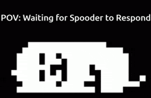 Spooder Pov Waiting For Spooder To Respond GIF - Spooder Pov Waiting For Spooder To Respond Dog GIFs