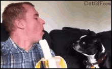 Banana GIF - Share Banana Dog GIFs