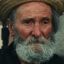 a man with a beard wearing a straw hat and a black shirt