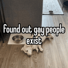 Homophobic Dog GIF - Homophobic Dog GIFs