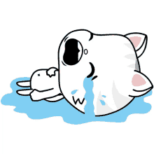 toofiothe cat puddle of tears crying hard sad so sad