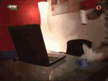GIF