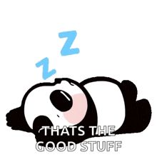 a panda bear is sleeping on its back with a blue letter z above its head .