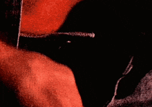 a close up of a person 's hand with red hair