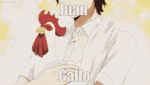 Juan Gallo GIF - Juan Gallo Galo GIFs