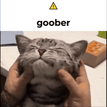 goober