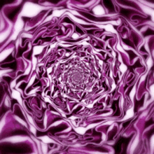Red Cabbage Spiral GIF - Red Cabbage Spiral Vegetables GIFs