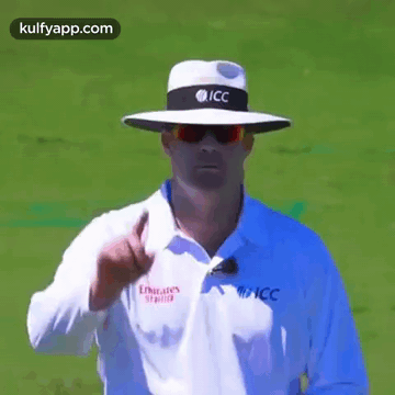umpire out