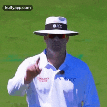 out umpire signal test cricket