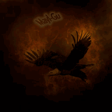Efecto Fuego águila GIF - Efecto Fuego águila águila Fuego GIFs