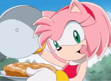 Sonic The Hedgehog Sonic X GIF - Sonic The Hedgehog Sonic X Amy Rose GIFs