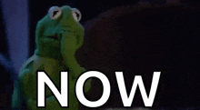 kermit the frog is holding his hand to his face in front of a sign that says `` now '' .