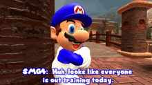 Smg4 Huh Looks Like Everyone Is Out Training Today GIF - Smg4 Huh Looks Like Everyone Is Out Training Today Training GIFs
