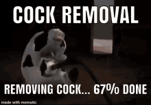 Cock_removal GIF - Cock_removal GIFs