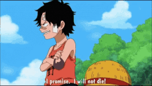 One Piece I Promise I Will Not Die GIF - One Piece I Promise I Will Not Die GIFs