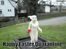 Happy Easter Easter Bunny GIF - Happy Easter Easter Bunny Quarantine GIFs
