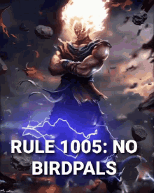 Rule1005 Birdpals GIF - Rule1005 Birdpals 1005 GIFs