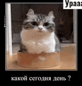 пятница GIF - пятница GIFs