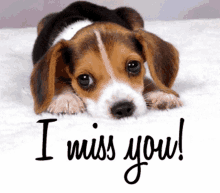 Love You GIF - Love You I Miss You GIFs