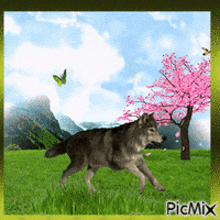Wolf Wolves GIF - Wolf Wolves Wolf In Spring GIFs