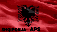 Shqiponja Flamuri GIF - Shqiponja Flamuri Albania GIFs