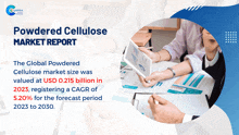 Powdered Cellulose Market Report 2024 GIF - Powdered Cellulose Market Report 2024 GIFs