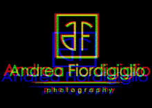 Andrea Fiordigiglio Fiordigiglio GIF - Andrea Fiordigiglio Fiordigiglio Photography GIFs