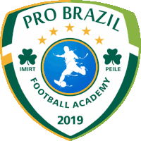 Probrazil Probrazilfutsal Sticker - Probrazil Probrazilfutsal Futsal Stickers
