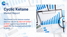 Cyclic Ketone Market Report 2024 GIF - Cyclic Ketone Market Report 2024 GIFs