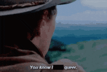 a man in a cowboy hat says " you know i queer " in a pixelated image