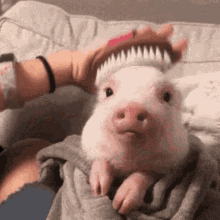 Friday Its GIF - Friday Its Thank GIFs