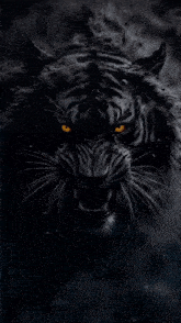 a black and white tiger with yellow eyes is being struck by lightning