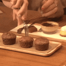 a person holding a fork over a tray of chocolate cupcakes
