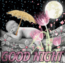 Good Night Moon GIF - Good Night Moon Sleeping GIFs