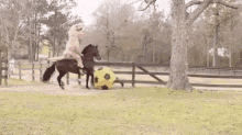 horse dinosaur ball soccer ball play time
