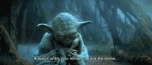 Always With You Cannot Be Done GIF - Always With You Cannot Be Done Yoda GIFs
