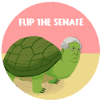 an illustration of a turtle with the words flip the senate on the bottom