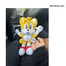 a person is holding a stuffed animal with the words what did you say below it