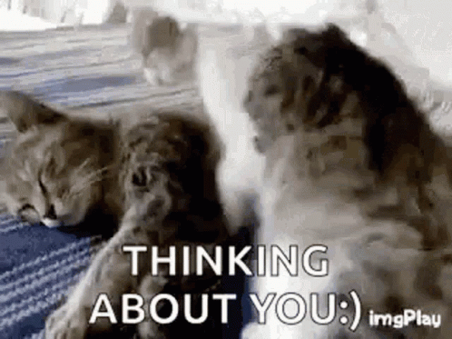 Think About You GIFs | Tenor