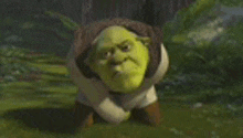 shrek from shrek is kneeling down in the grass and making a funny face .