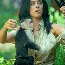 Can We Talk About How The Monkey Didn’t Like His Selfie GIF