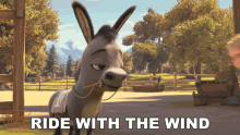Ride With The Wind Snips Stone GIF