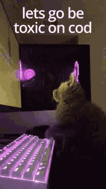Cat Game GIF - Cat Game Cod GIFs